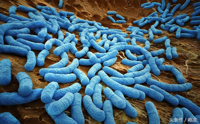 一种被忽略的药物：人体内的微生物