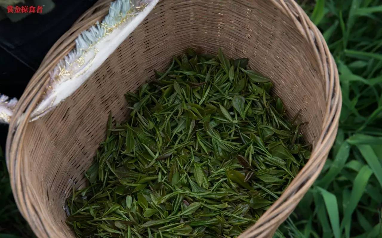 李明青藏特产,李明普洱茶