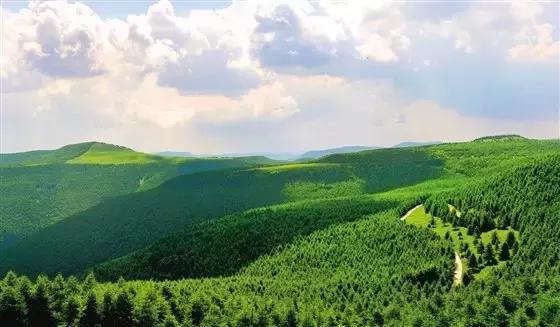 灵石红崖峡评价,灵石红崖峡门票价格