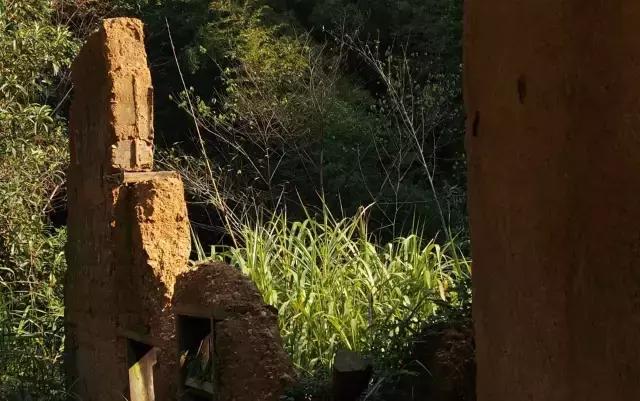 四年级上学期古诗词大全必背,开学了的古诗