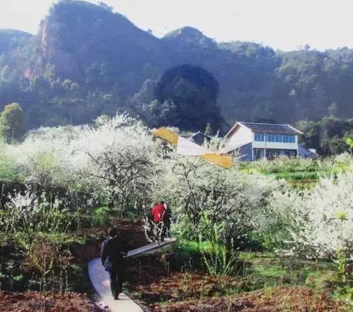 安溪由茶乡变成诈骗之乡,安溪为啥被称为诈骗之乡