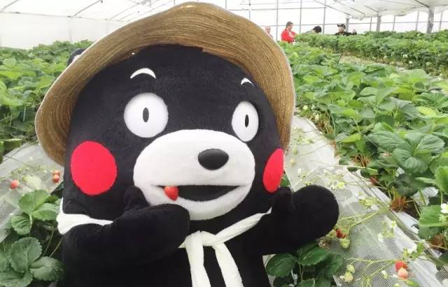 防晒推荐军训必备,军训时最好用的防晒推荐