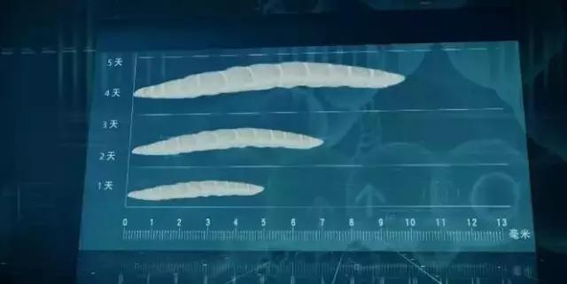 比白银大案还大的案件,白银案的真实事件电影