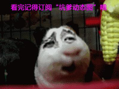 如何辨别骚扰电话还是诈骗电话,如何对付诈骗电话和骚扰电话