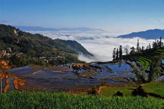 四年级上学期古诗词大全必背,开学了的古诗