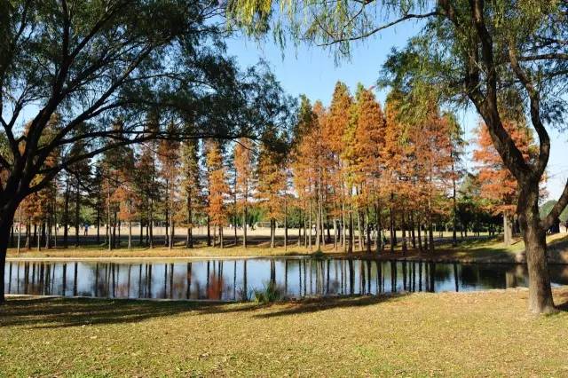 六十多家旅游景点门票半价,这8家景区免费或有优惠