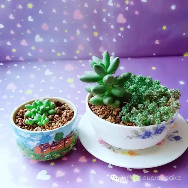 入坑就不能自拔,入坑后无法自拔