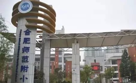 合肥最牛的十所小学,合肥市莲花小学排名第几