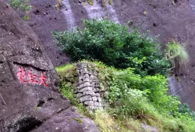 中国前十普洱茶价格表,十大顶级普洱茶价格及图片