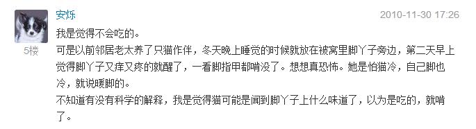 猫咪会吃主人尸体吗,猫咪会吃掉人类幼崽吗