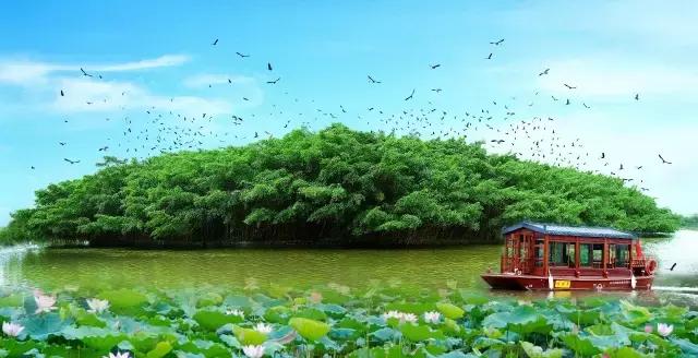 江门中秋节适合出游的地方,中秋去哪里赏月这几处预约火爆