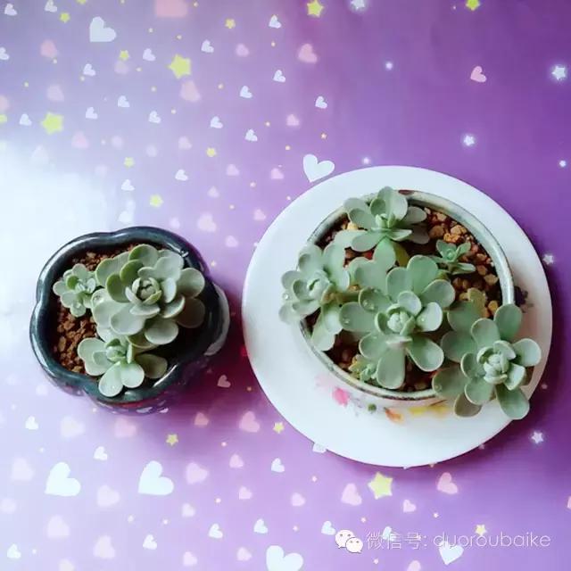 入坑就不能自拔,入坑后无法自拔