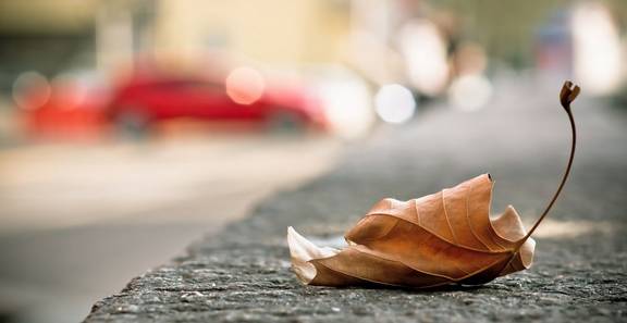 秋天到了你想去哪里旅行,佛冈适合雨天游玩的地方