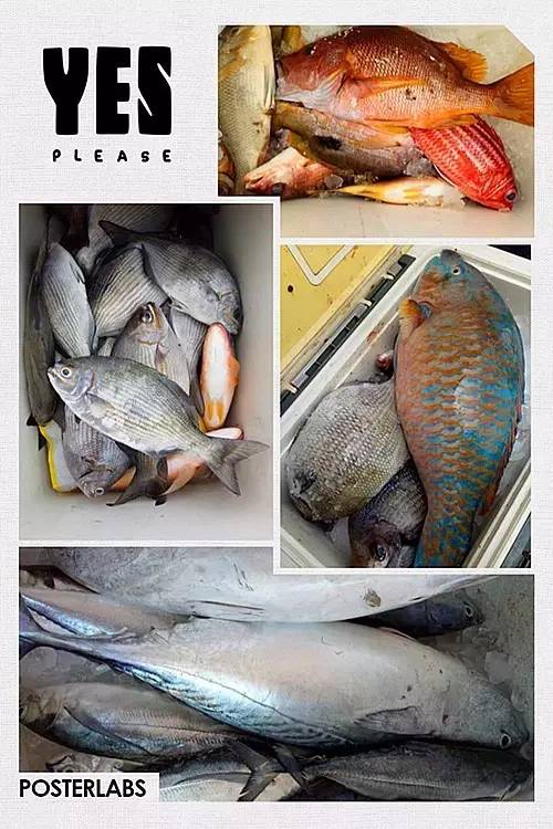 外伶仃岛岸边钓点,外伶仃岛钓鱿鱼钓点