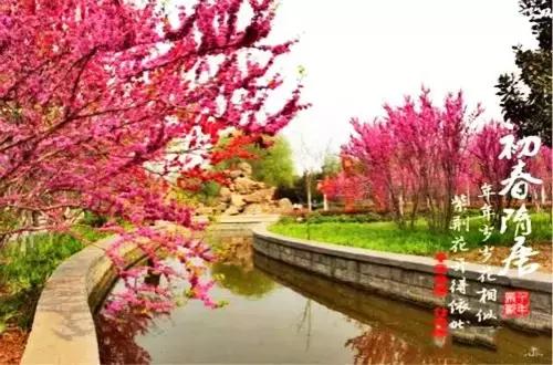 洛阳涧西区好玩的景点,洛阳35个免费景点