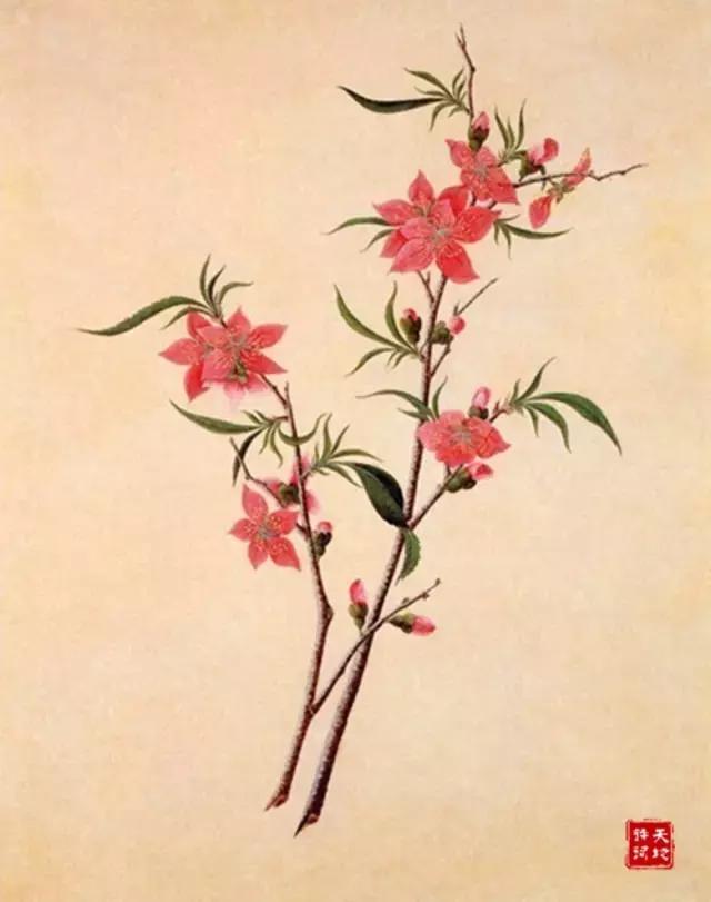 中国四大知识你知道哪些,中国四大之最你知道哪些