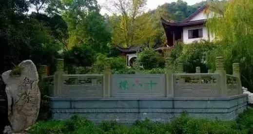 2003普洱茶最贵生茶,最贵普洱新茶排名前十