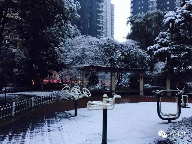 武汉只下一天雪吗,武汉下的是雪吗