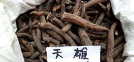 中药附子使用歌诀,每日一味中药附子