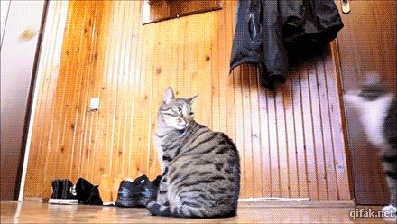 糗GIF榜:北京马拉松跑完之后,妹子们是这样下楼梯的