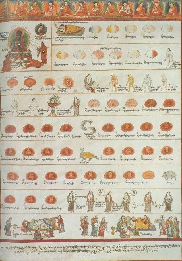 画在唐卡上的医书，令人惊叹！