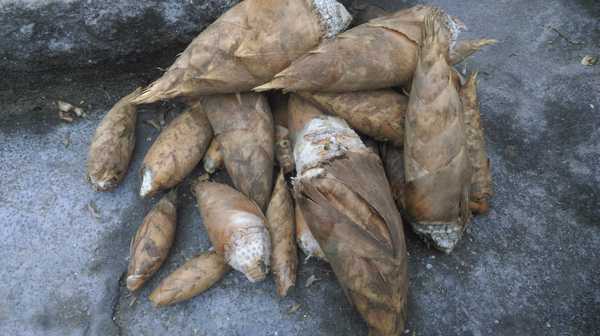 南昆山哪里好玩,惠州龙门南昆山