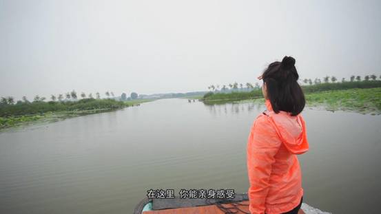 大美微山湖生态好地方,微山湖国家湿地公园游玩讲解