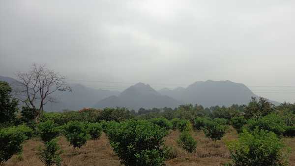 南昆山哪里好玩,惠州龙门南昆山