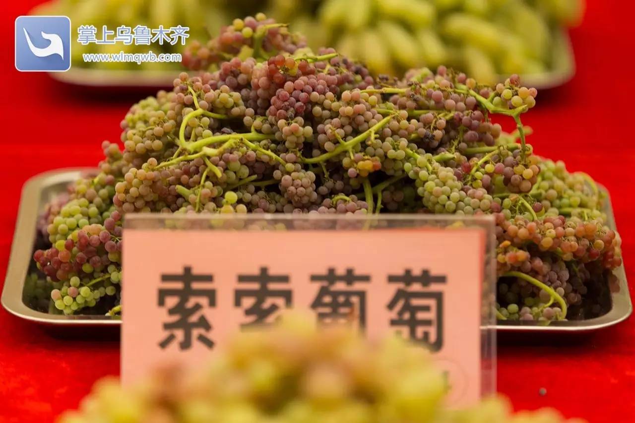 自带花香味的葡萄你吃过吗,吃葡萄不吐葡萄皮的葡萄怎么挑