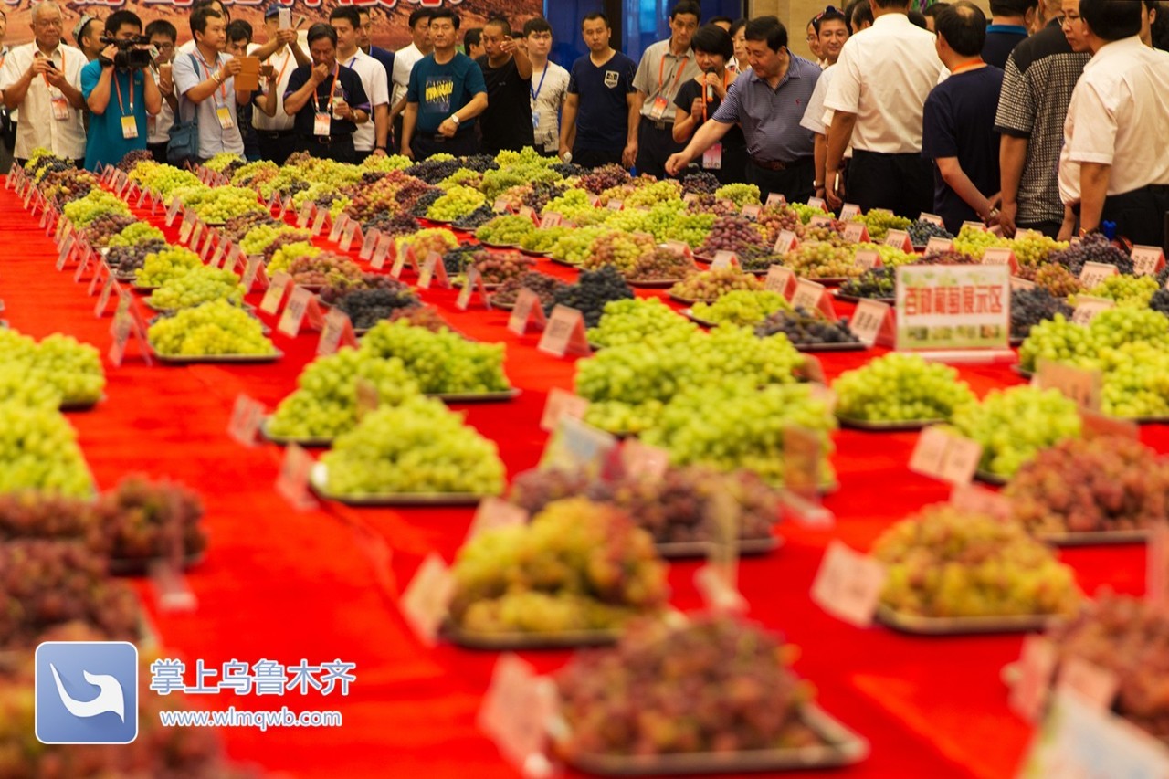 自带花香味的葡萄你吃过吗,吃葡萄不吐葡萄皮的葡萄怎么挑