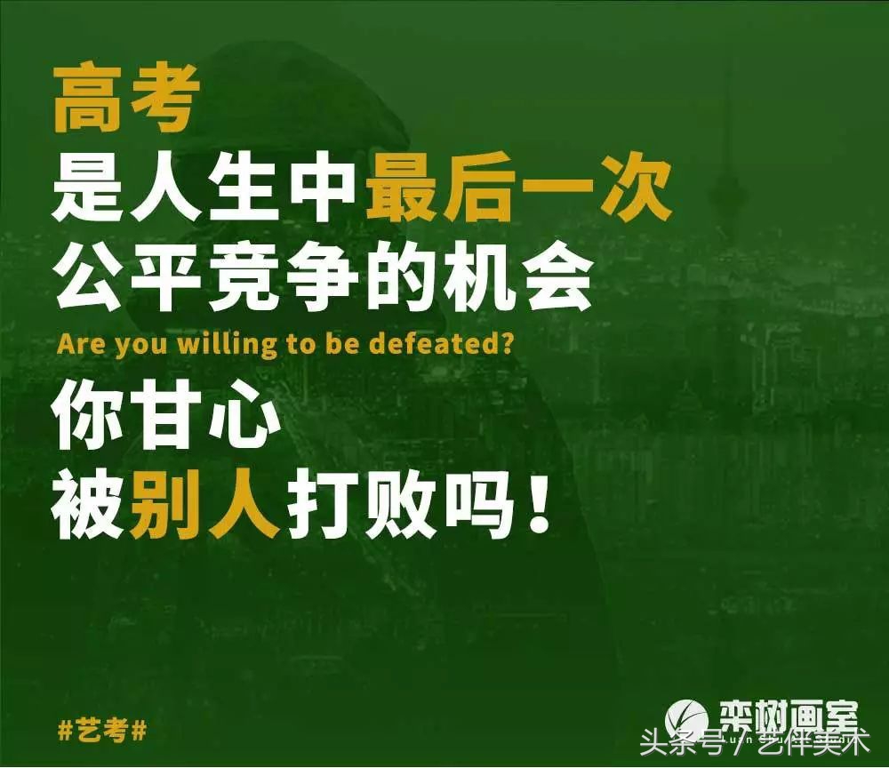 栾树画室北京,栾树画室