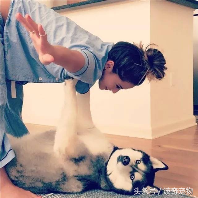 狗狗和你亲的几个表现,当你和你家的狗对视