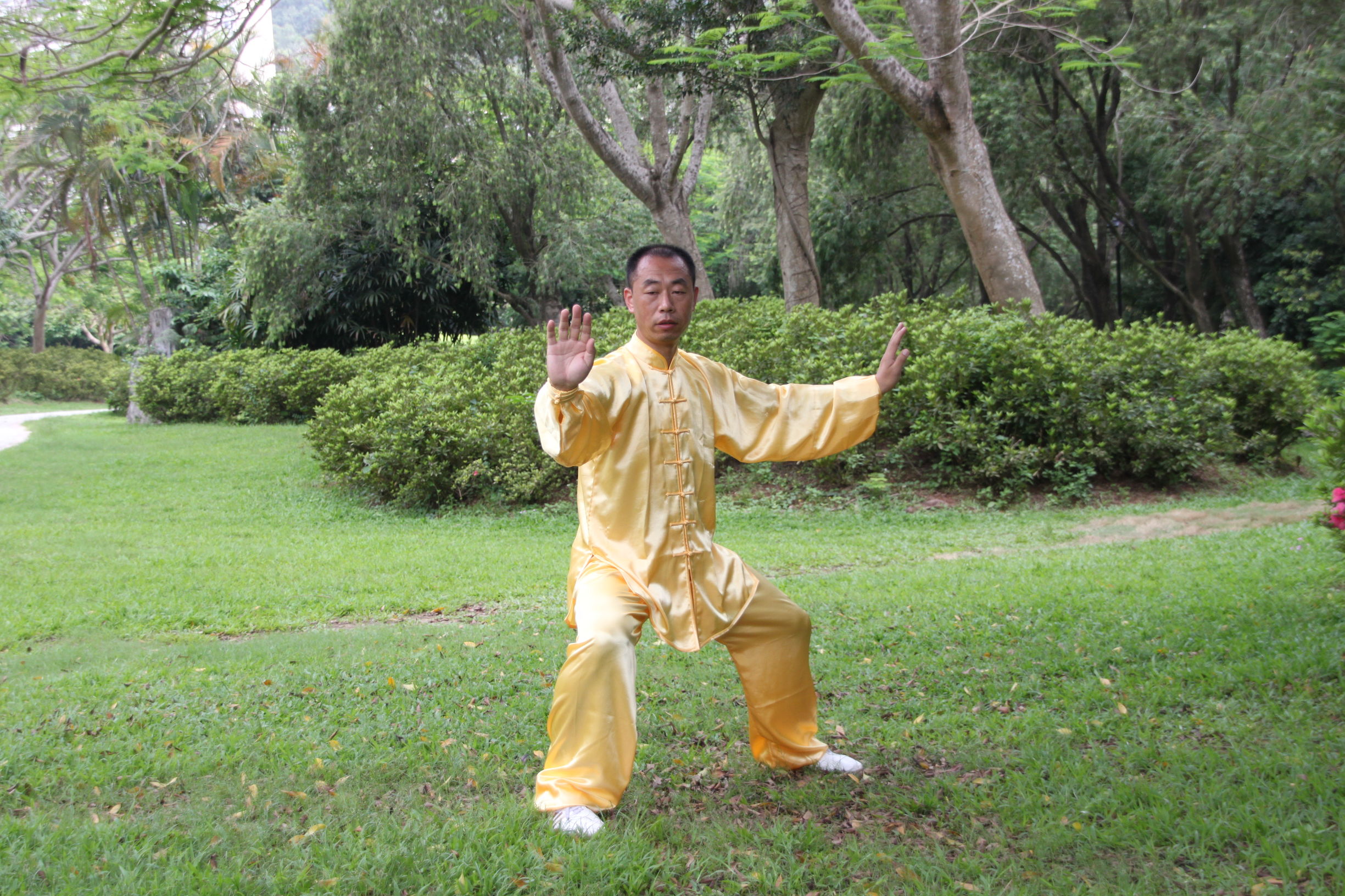 传统太极十三式教学,三丰太极十三式