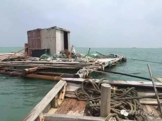 百天百问之第47问：｜干货90分钟语音分享购买珍珠注意事项