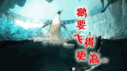 你以为他们在喂企鹅，其实他们在练腹肌