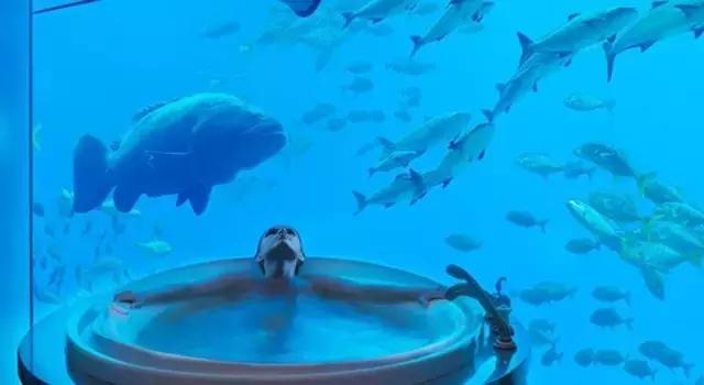 阿联酋对华免费落地签,阿联酋落地签最新通知