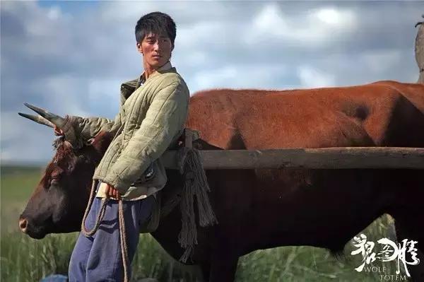 难得一看的国产电视剧,难得一见的国产电视剧推荐