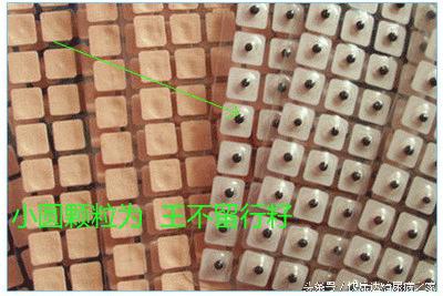 耳穴压豆治疗烟瘾,耳穴戒烟穴位