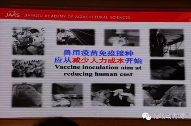 支原体肺炎国家防御方案,支原体肺炎抗病毒