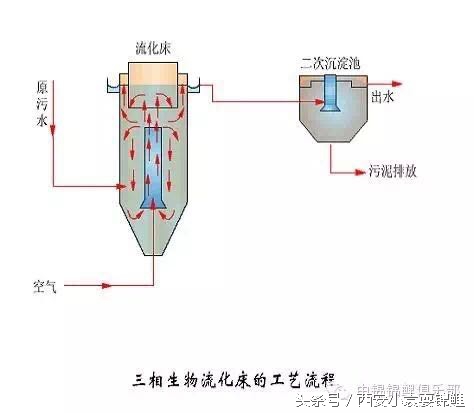 刨根问底“涌清水”！新型低能高效的生物膜法水处理装置
