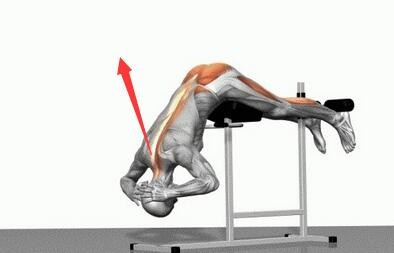 足球运动伤病治疗,足球运动中常见的损伤康复