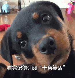 爆笑段子说别人被绿了,关于被绿的段子笑话