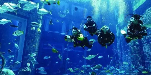 阿联酋可以落地签吗,阿联酋去哪里可以落地签