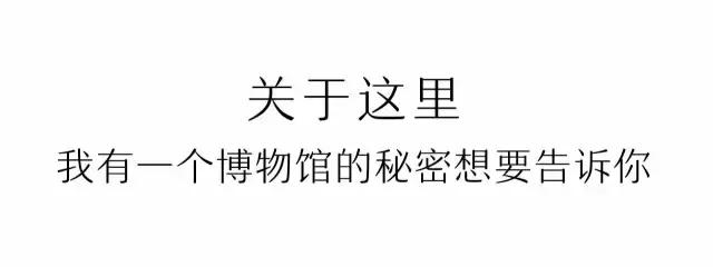 凤凰岛把公园还给你,你还欠自己一次隐居