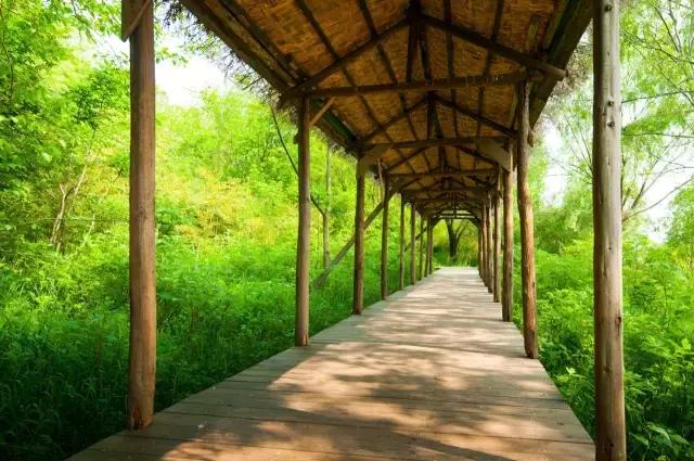 凤凰岛把公园还给你,你还欠自己一次隐居