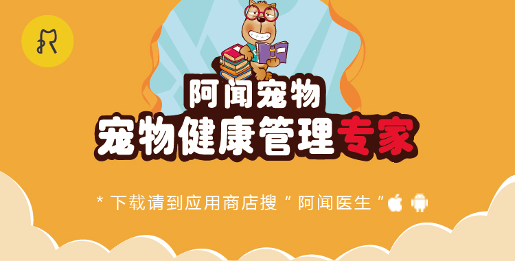 在家给猫咪洗澡用什么能洗干净,经常给猫咪洗澡会不会有寄生虫呢