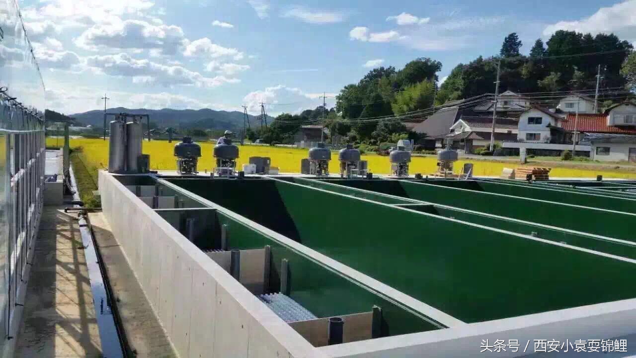 刨根问底“涌清水”！新型低能高效的生物膜法水处理装置