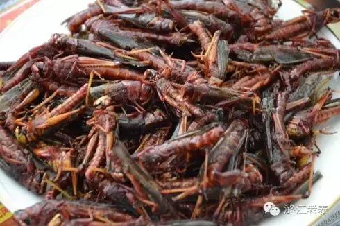云南昆虫宴美食,云南特色虫宴