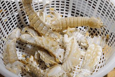 卷福秋冬季新菜发布会(上):一大波卷福的朋友们正在来袭!