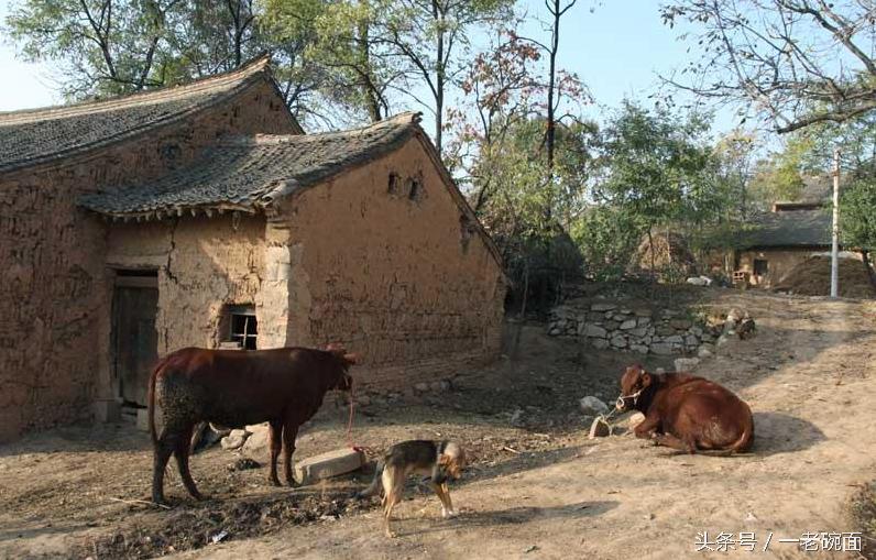 怀念我的妈妈闽南语,怀念我的妈妈原唱